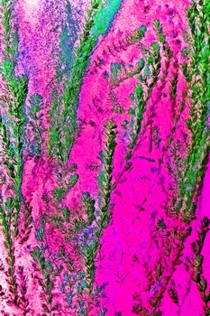 N 042D